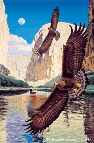 Eagle